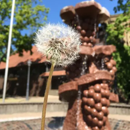 Tatil Evi Zur Mainpforte *