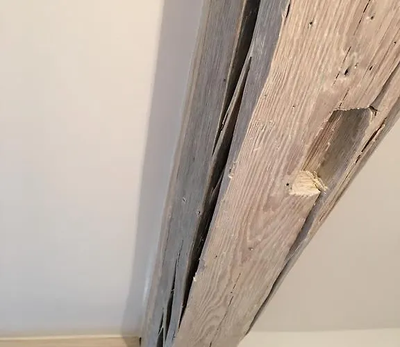 Zur Mainpforte Ferienhaus *