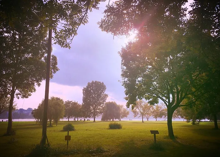 Zur Mainpforte * Mainz