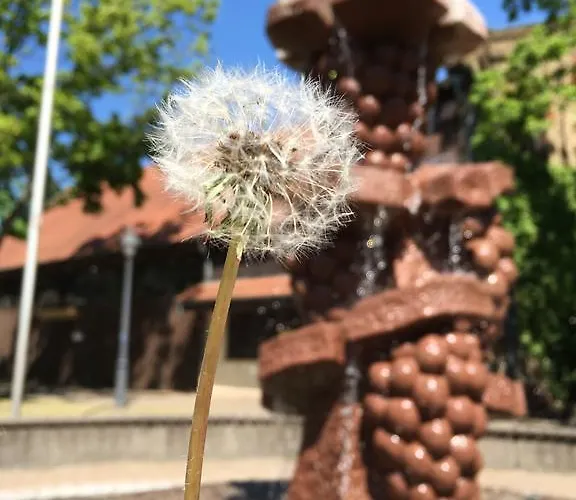 Сasa de vacaciones Zur Mainpforte *